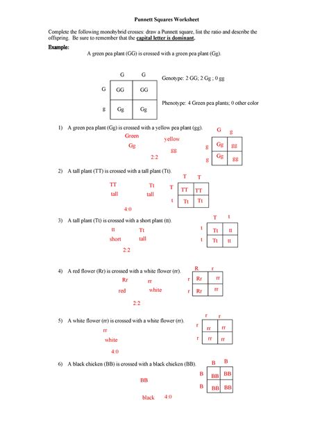 practice monohybrid crosses worksheet answers